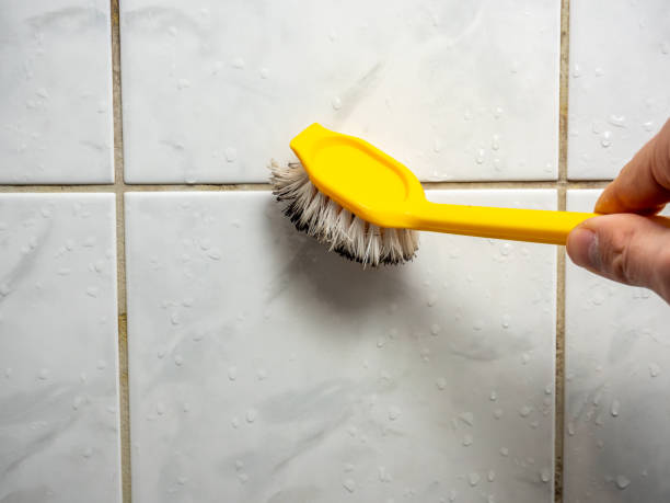 Best Affordable Mold Removal  in Big Lake, MN