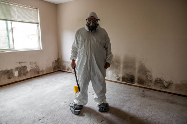 Best Mold Testing  in Big Lake, MN