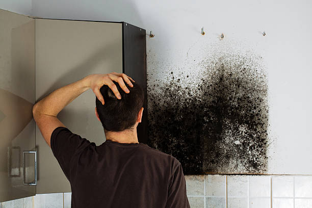 Best Crawl Space Mold Removal  in Big Lake, MN
